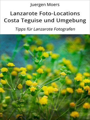 cover image of Lanzarote Foto-Locations Costa Teguise und Umgebung